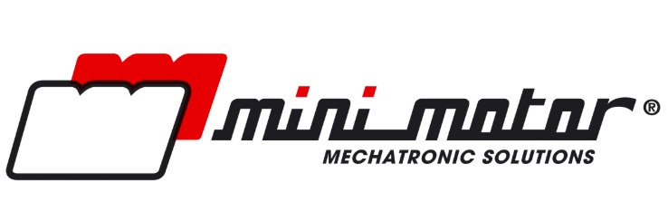 Mini Motor